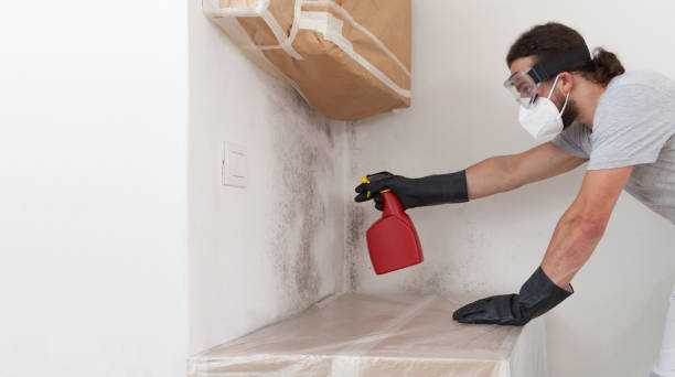 Professional Black Mold Removal technician working in Sharon, PA