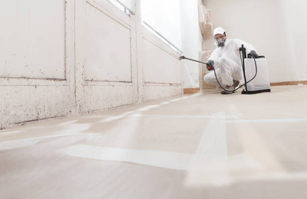 24/7 Emergency Black Mold Removal experts in Sharon, PA