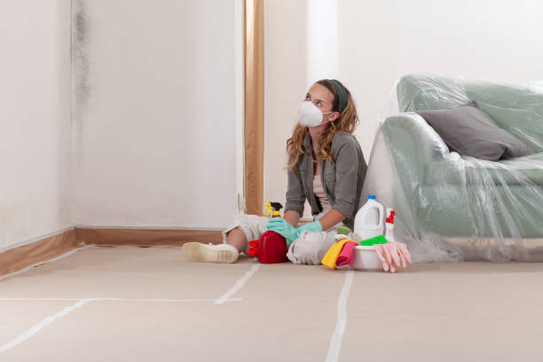 Reliable Black Mold Removal contractor in Sharon, PA by WQB Mold Removal